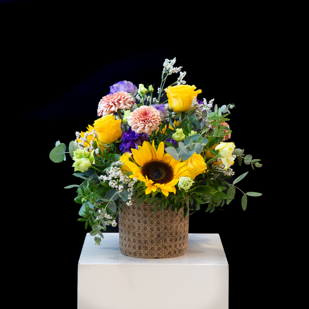 Sunny Bloom
