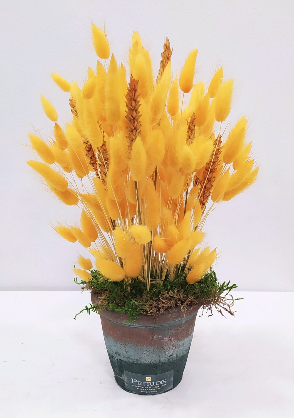 Yellow Bunny Tails #1